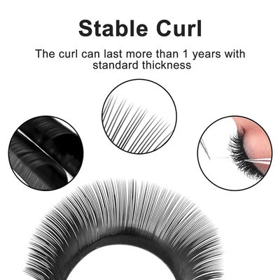 إمتدادات الشعيرات YY CC/D/DD Curl 0.10mm سمك الحجم الإمتداد 8-14mm Long Lasting Matte Black false lashes
