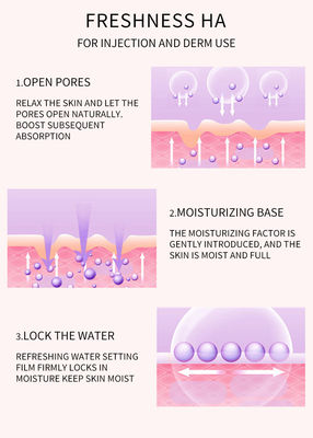 OEM Meso Therapy Serum Freshness Ha ترطيب حقن حمض الهيالورونيك